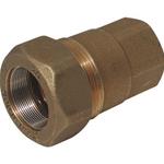 GIUNTO RAPIDO OTTONE 2" FEMMINA PESANTE (ELIMINARE)