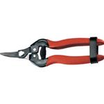 FORBICE COGLI AGRUMI CM. 16 AUSONIA (PER VIGNA)