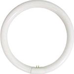 NEON FLUORESCENTE CIRCOLARE 40W/54