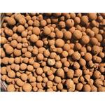 ARGILLA ESPANSA 10 LT 