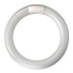 NEON FLUORESCENTE CIRCOLARE 22W/54 TRIFOSFORO REER