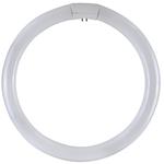 NEON FLUORESCENTE CIRCOLARE 32W/54