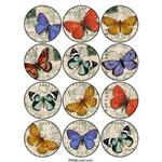 CARTA DECOUPAGE FARFALLE 50 X 70