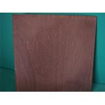 FONDI PER SEDIE CONCHIGLIA CHIARA